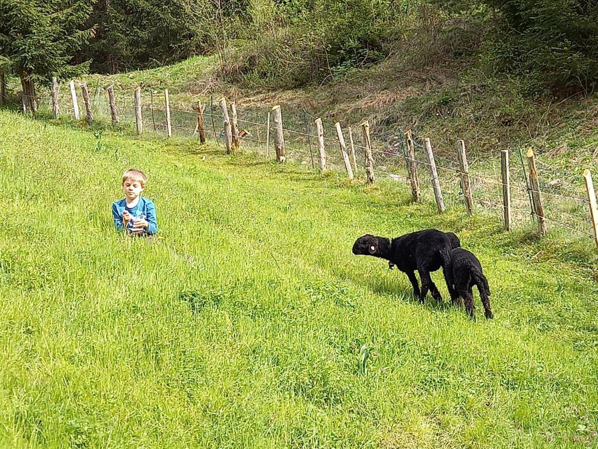 Ferienwohnungen Weberbauer Sankt Martin bei Lofer Buitenkant foto